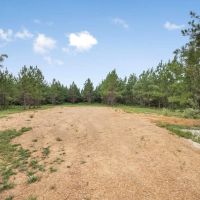 Small Turn-Key Hunting Property in Amite County MS images 2