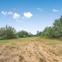 Small Turn-Key Hunting Property in Amite County MS images 4
