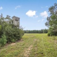 Small Turn-Key Hunting Property in Amite County MS images 5
