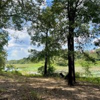 Hunting Land for Sale in Yazoo County MS images 4