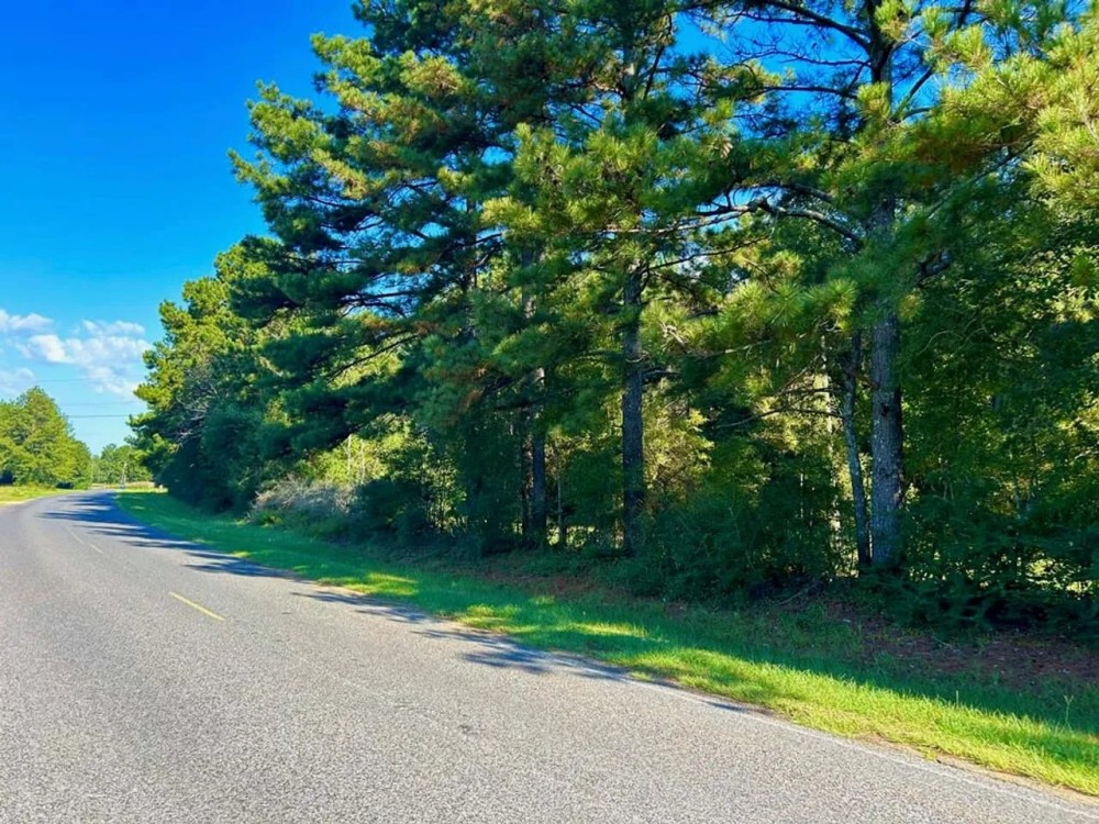 Brookhaven MS 19.7 - Acres for Sale featured image