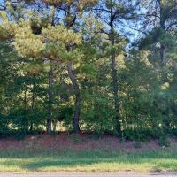 Brookhaven MS 19.7 - Acres for Sale images 2
