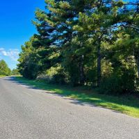 Brookhaven MS 19.7 - Acres for Sale images 3