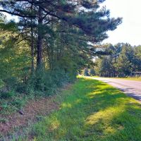 Brookhaven MS 19.7 - Acres for Sale images 4
