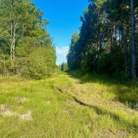 Brookhaven MS 19.7 - Acres for Sale images 5
