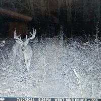 26 Acres - Grant Co. - Building Site - Recreational Property images 3