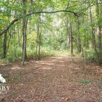 Nolan Road Farm images 2