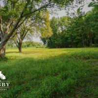 Nolan Road Farm images 5