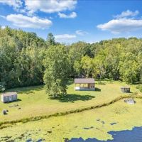 145.27 acres of Investment Recreational and Hunting Land For Sale in Patrick County VA images 5
