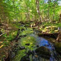 522 Mt. Misery Rd - Littleton images 4