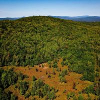 522 Mt. Misery Rd - Littleton images 5