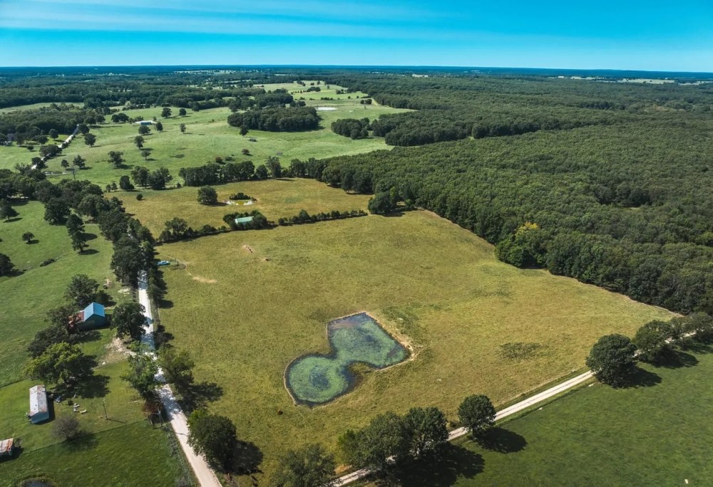 Picturesque Pastures featured image