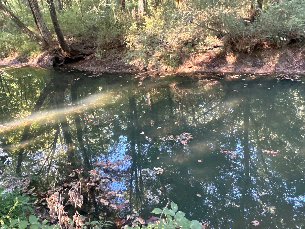 0 Jackson Road Hunting Land for Sale