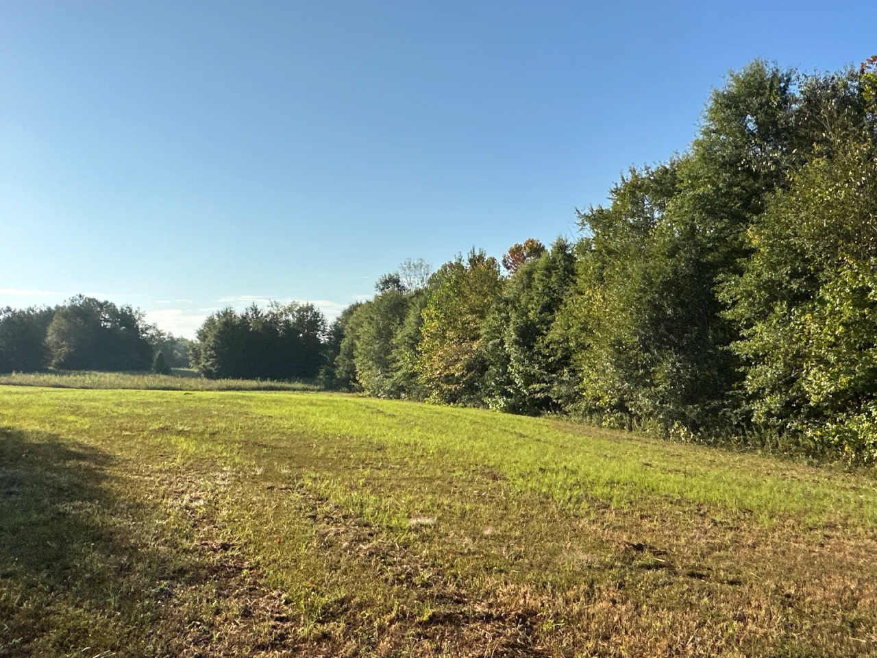 0 Jackson Road Hunting Land for Sale