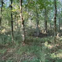 0 Jackson Road images 3