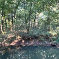 0 Jackson Road images 4