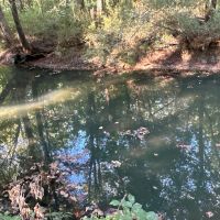 0 Jackson Road images 5