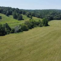 110 - Acre Farm For Sale in Carter Co. images 4