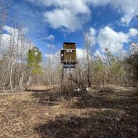 130 Acres in Ashley County Arkansas