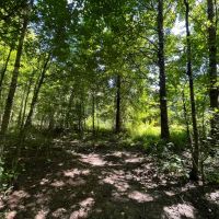 130 Acres in Ashley County Arkansas images 2