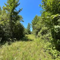 130 Acres in Ashley County Arkansas images 4