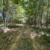 130 Acres in Ashley County Arkansas images 5