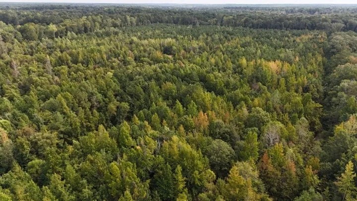 68 Acres in Monroe County in Amory MS featured image