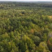 68 Acres in Monroe County in Amory MS