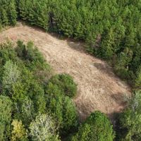 68 Acres in Monroe County in Amory MS images 4