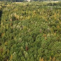 68 Acres in Monroe County in Amory MS images 5