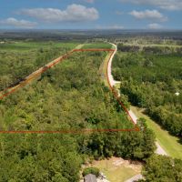 Screven County 22 Acres