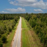 Screven County 22 Acres images 3