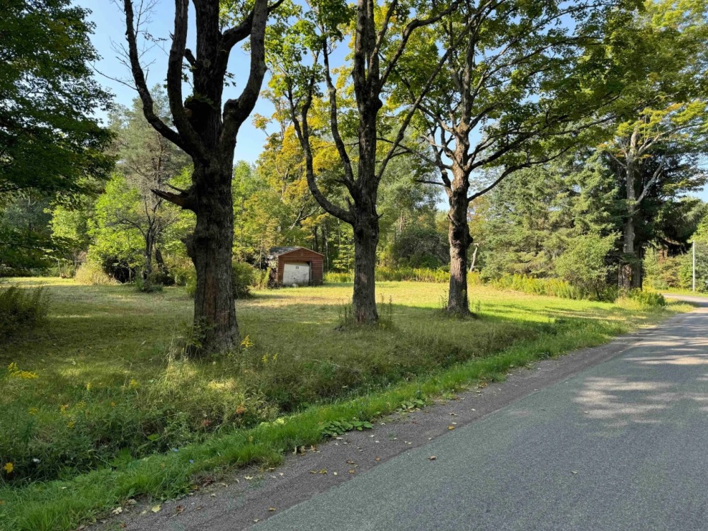 7.5 acre Building Lot and Hunting Land bordering State Land in Gerry NY 2219 Old Chautauqua Rd featured image