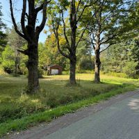 7.5 acre Building Lot and Hunting Land bordering State Land in Gerry NY 2219 Old Chautauqua Rd