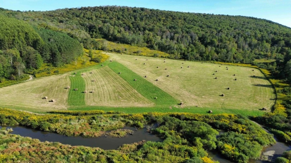 202 acres Farmland with Hunting and Recreational Land in Berkshire NY Payne Marsh Rd featured image