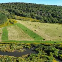 202 acres Farmland with Hunting and Recreational Land in Berkshire NY Payne Marsh Rd