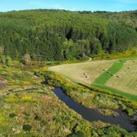 202 acres Farmland with Hunting and Recreational Land in Berkshire NY Payne Marsh Rd images 2