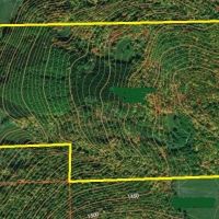 202 acres Farmland with Hunting and Recreational Land in Berkshire NY Payne Marsh Rd images 3