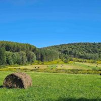 202 acres Farmland with Hunting and Recreational Land in Berkshire NY Payne Marsh Rd images 4