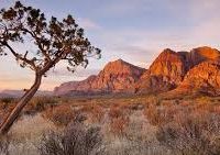 Lahontan Cutthroat Area 12,316 acres mule deer hunting land in Winnemucca, NV