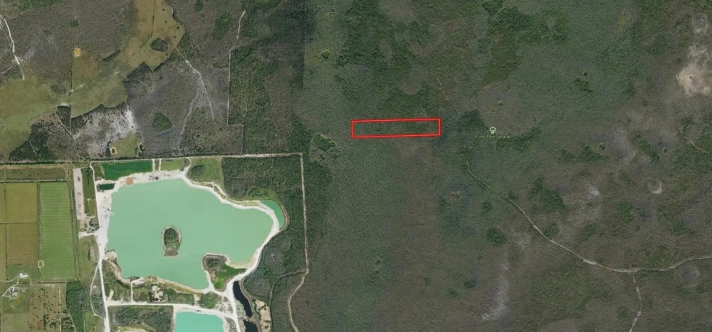 15 Acres in Lee County featured image
