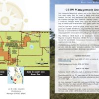 15 Acres in Lee County images 2