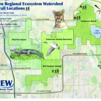 15 Acres in Lee County images 3