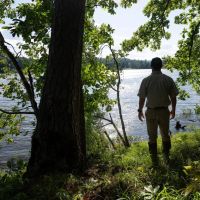 Duck Cove images 3
