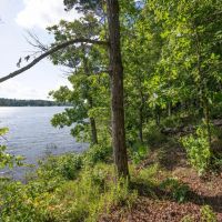 Duck Cove images 4