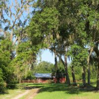 Interlachen Timber and Conservation Tract images 2