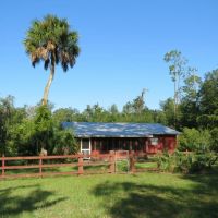 Interlachen Timber and Conservation Tract images 3