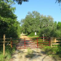 Interlachen Timber and Conservation Tract images 5