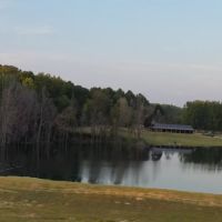 Land Home Lake - 269 Acres in Hardeman Co TN images 3