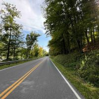17 acres Wooded Hunting Land and Building Lot in Bath NY Harrison Road images 3